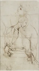 Study of a Skeleton